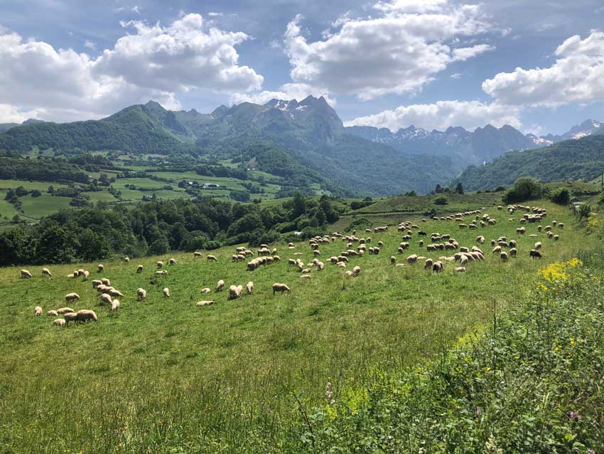 Pyrénées Atlantiques