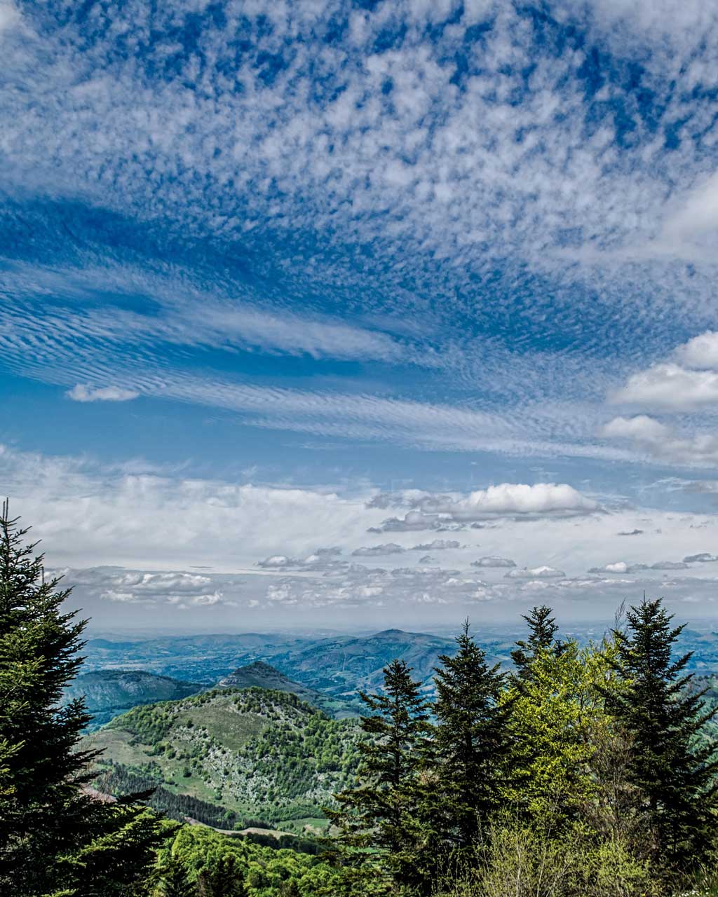 sepanso-pyrenees-atlantiques